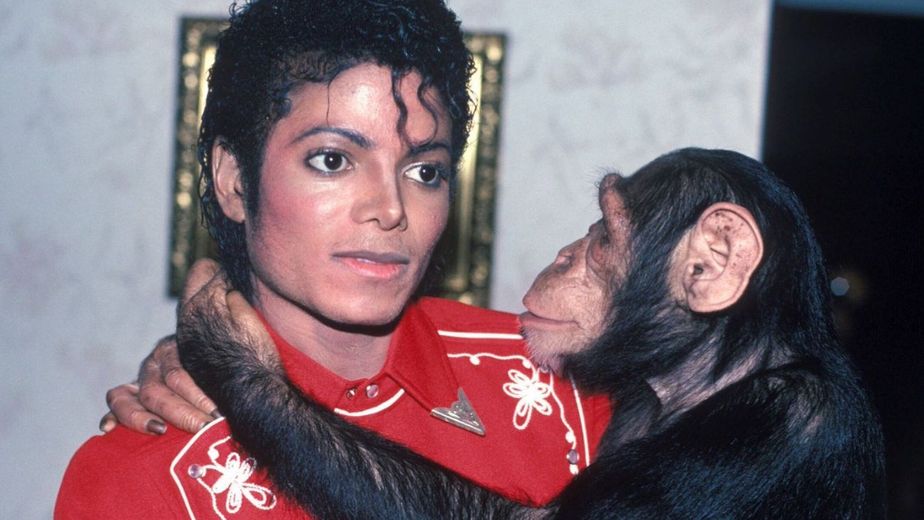 ¿Está vivo o muerto? La verdad oculta sobre Bubbles, el chimpancé de Michael Jackson, que nadie esperaba