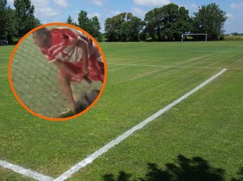 Disparos y pánico en un torneo de fútbol en Córdoba: el violento video