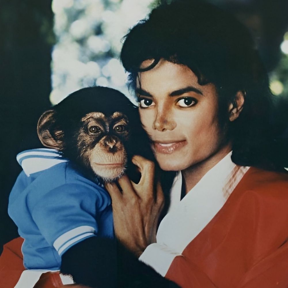 A sus 43 años, Bubbles dejó atrás la extravagancia de Neverland para encontrar refugio en un santuario de Florida, donde vive una realidad lejos de las cámaras.