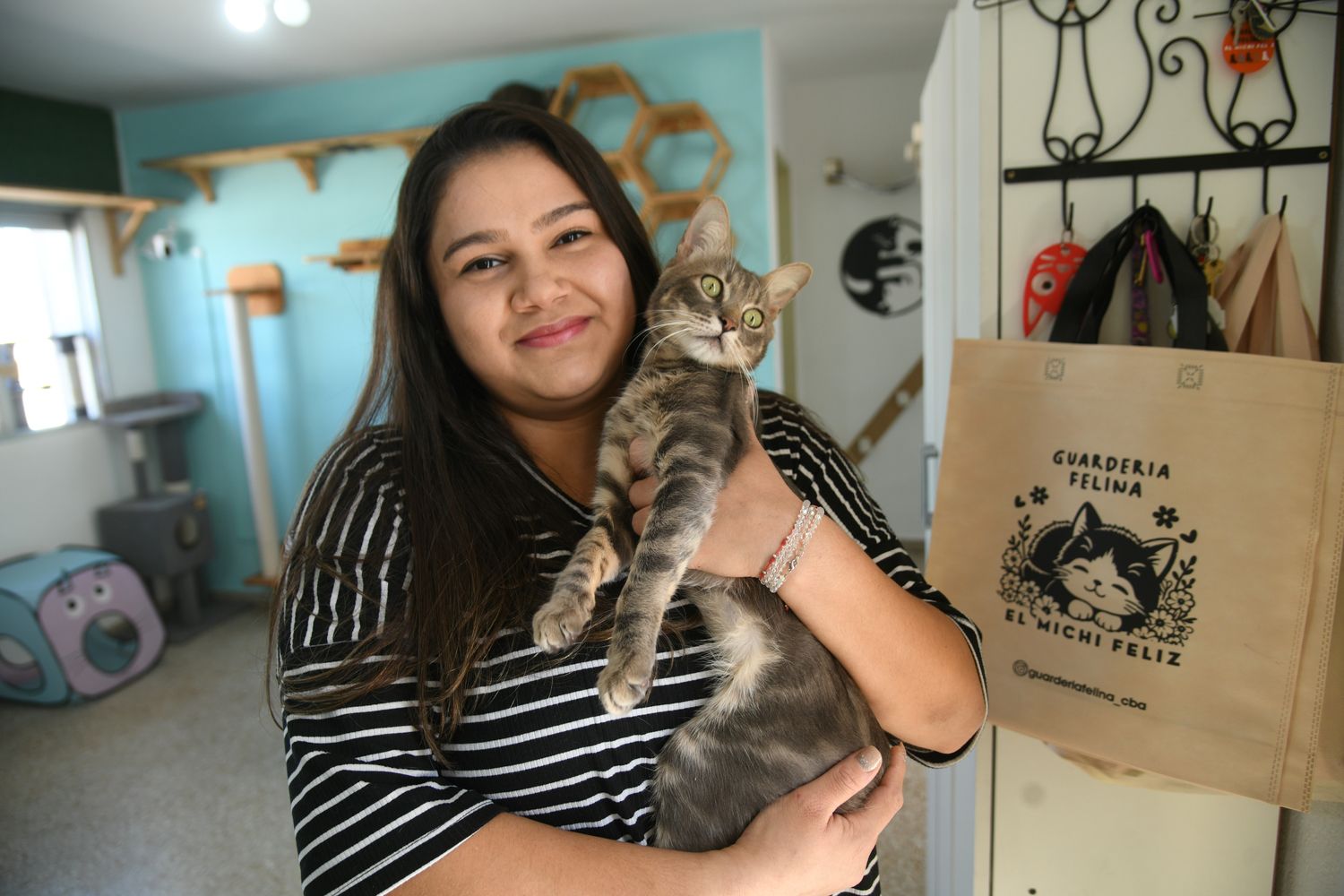 Cómo es la guardería felina que es furor en Córdoba.