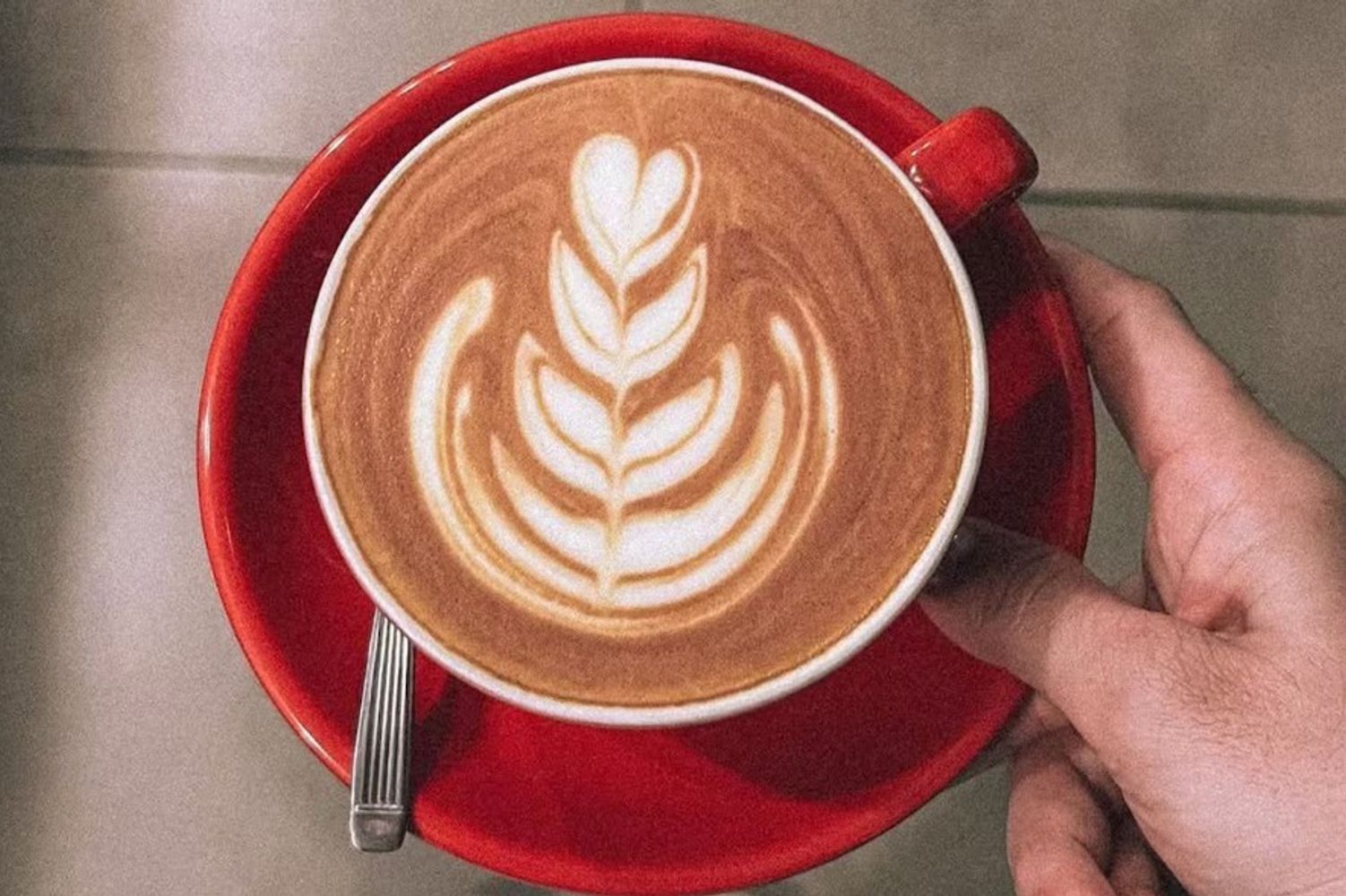 Por qué deberías ponerle una pizca de sal a tu café: el secreto que los baristas no te cuentan