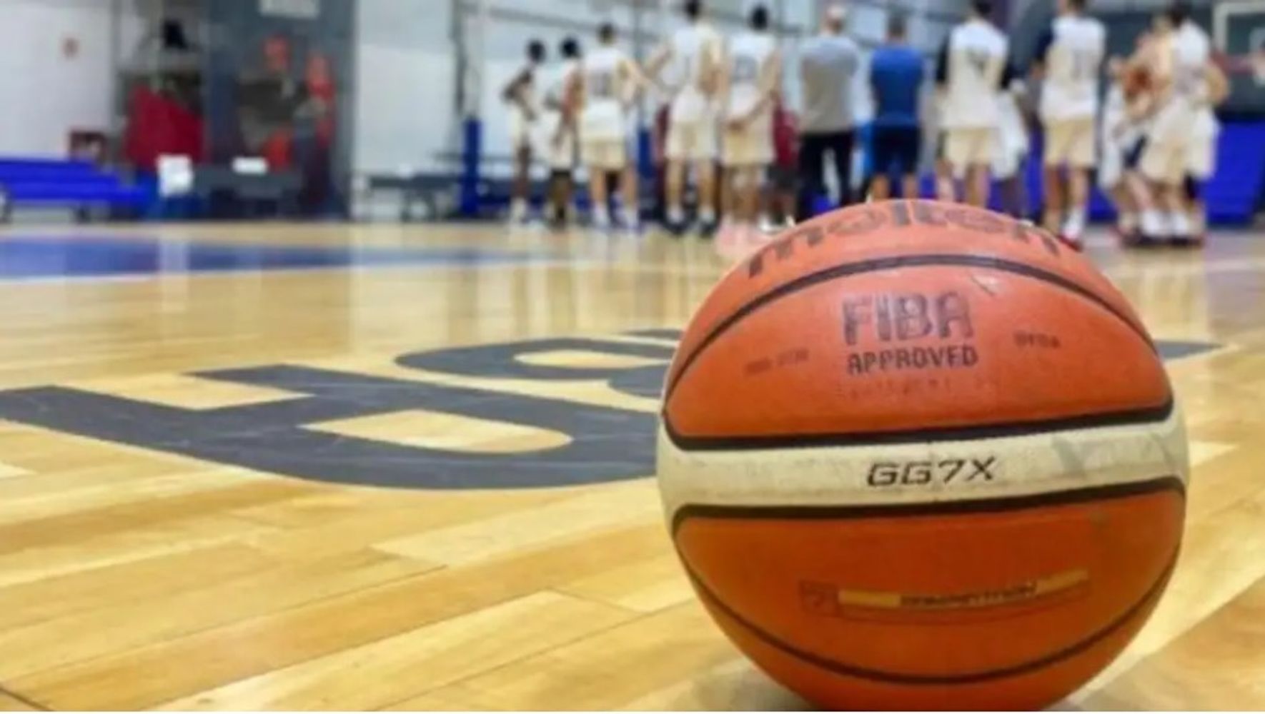 Pelota de básquet