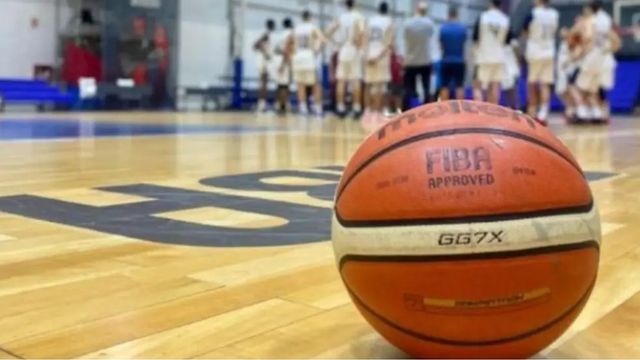 Pelota de básquet