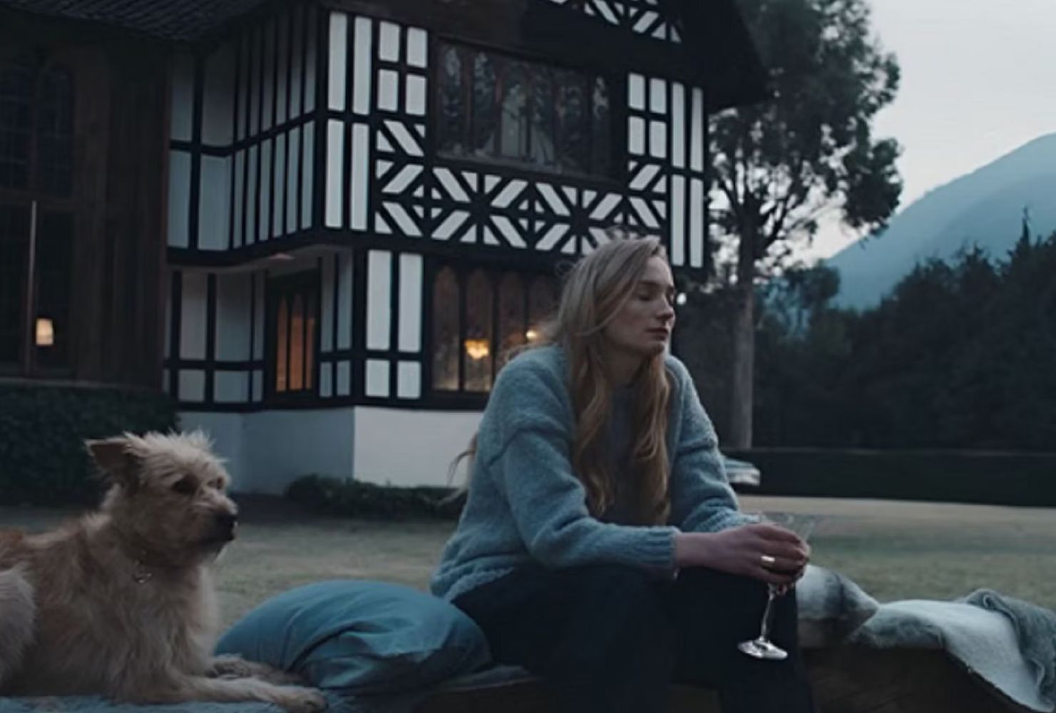 Sophie Turner interpreta a Lauren, una estrella de Hollywood cuya vida se convierte en una pesadilla tras una filtración de fotos íntimas.