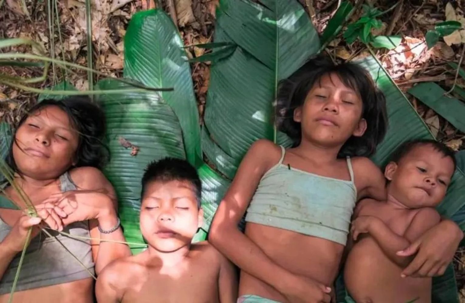 Netflix revela los detalles nunca contados de una búsqueda que cruzó los límites entre la ciencia militar y la mística de la selva.