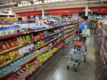 Pese a la moderación de los precios, las ventas se desploman