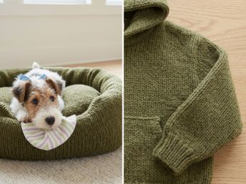 Cómo reciclar un buzo viejo y transformarlo en una cama para perro perfecta para este invierno 2026