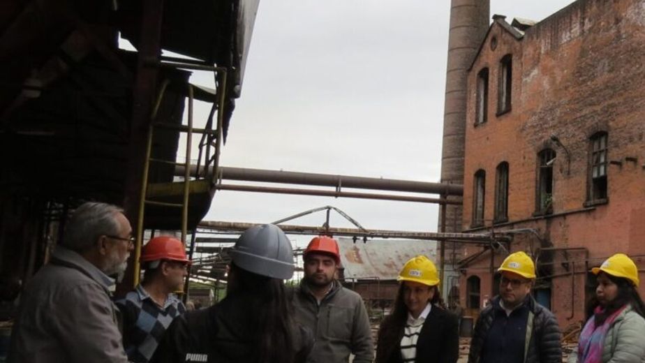 Medio Ambiente terminó los relevamientos pre zafra en los ingenios
