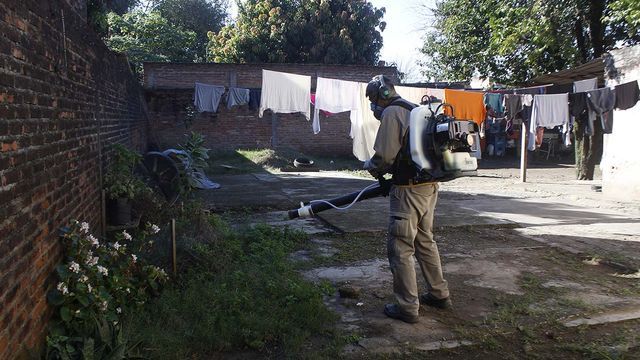 Desde Salud Ambiental informaron que el abordaje alcanzó viviendas ubicadas hasta 150 metros alrededor de la zona afectada.