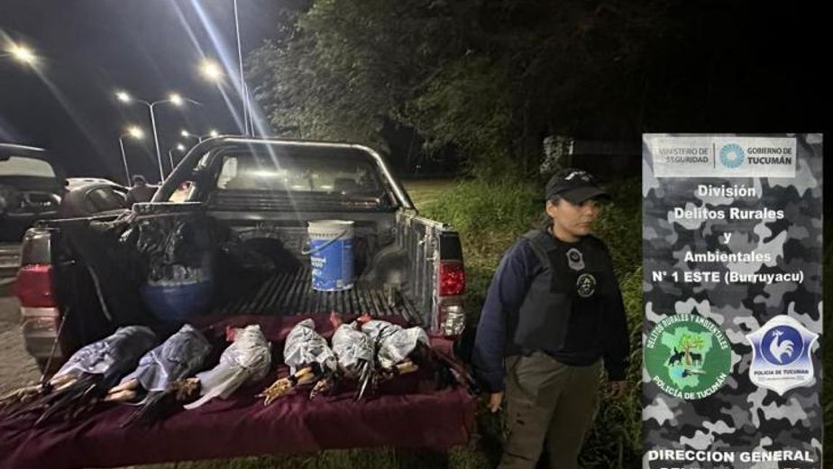 Maltrato animal: secuestraron gallos durante un control en Burruyacú