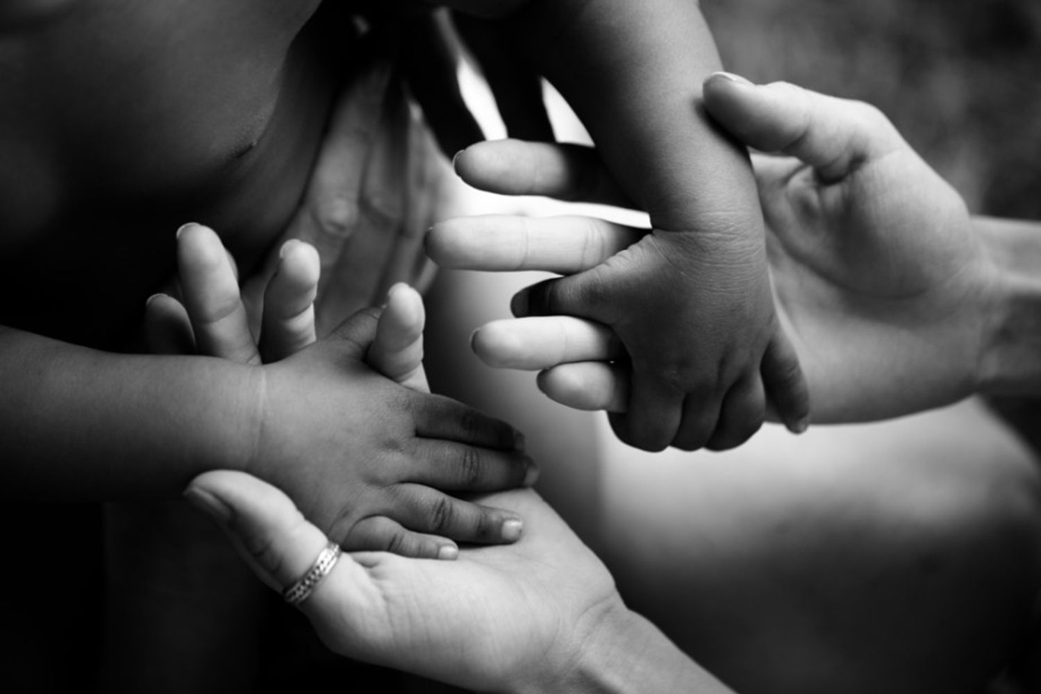adopción