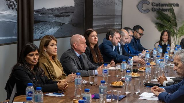 La mesa de trabajo fue encabezada por Alberto Natella y Mara Murúa, con participación de representantes del sistema judicial, legislativo, académico y profesional.