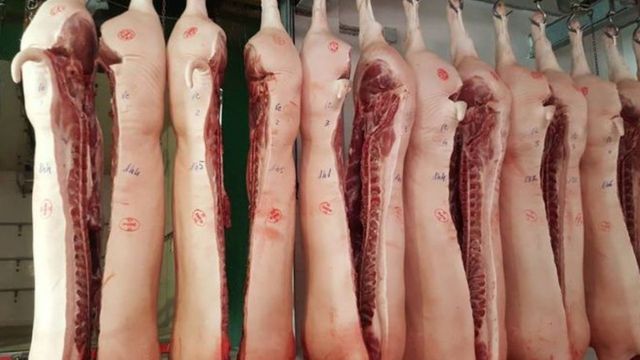 Las zonas donde detectaron casos de Triquinosis en Córdoba.
