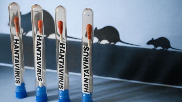 Hantavirus.