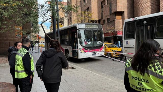 María Mirta Pérez lucha por su vida tras ser atropellada por un colectivo de SiBus. 