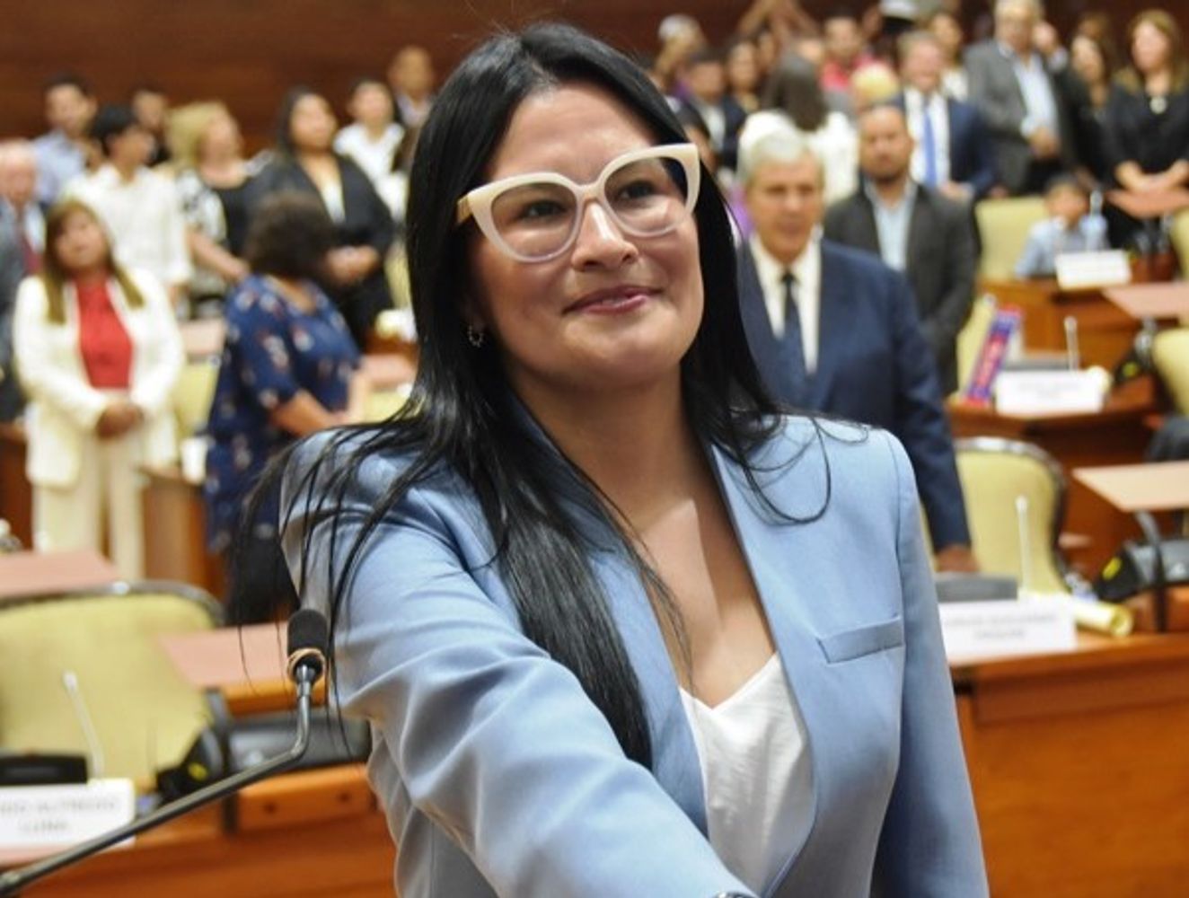 La diputada Verónica Valente es autora de un proyecto de ley que propone el retiro obligatorio del cableado aéreo en desuso de los servicios de telecomunicaciones y energía eléctrica.