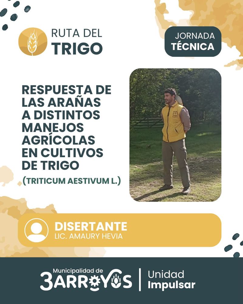 Ruta del Trigo