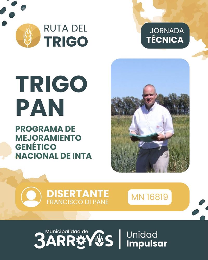 Ruta del Trigo