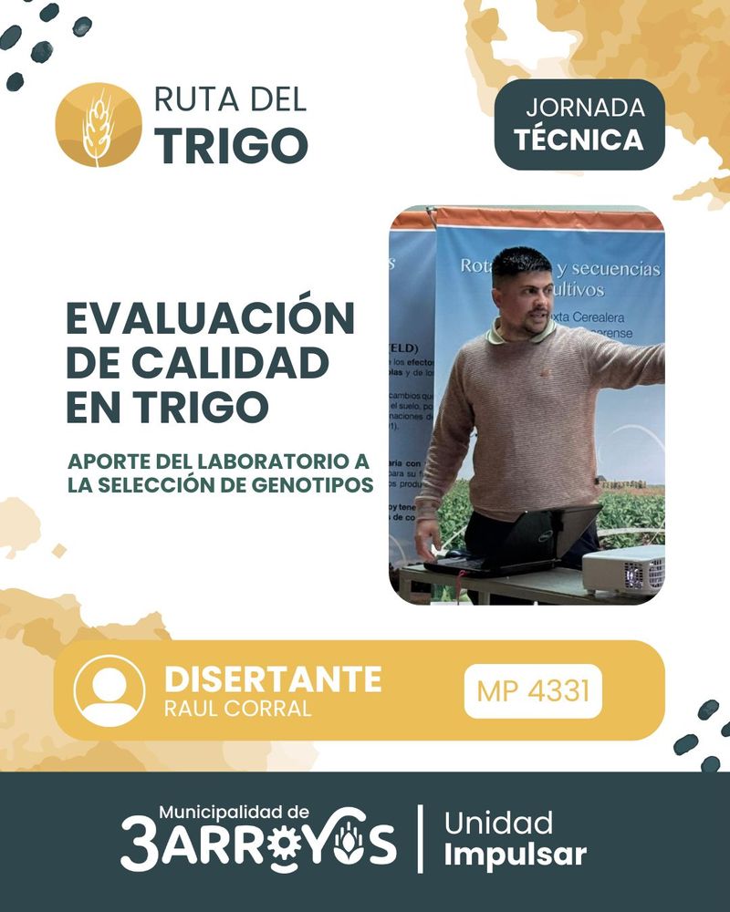 Ruta del Trigo