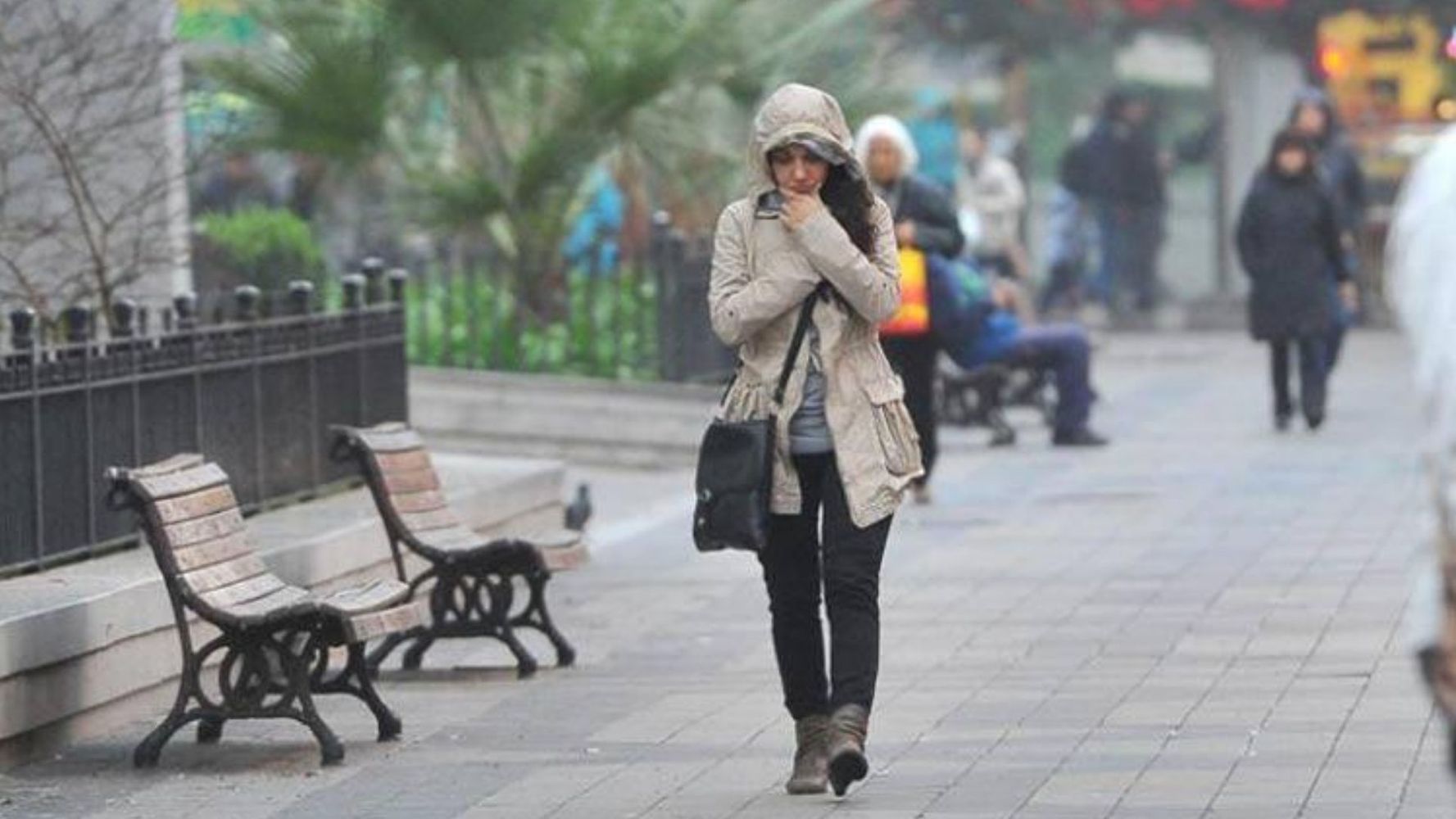 Viernes de heladas y neblina en Córdoba. 