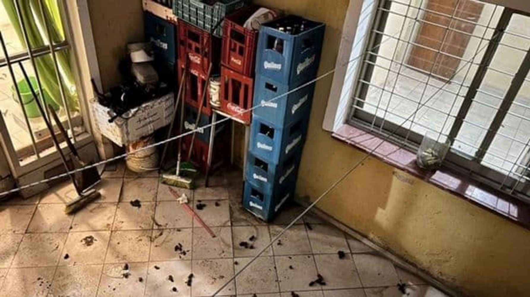 La brutal escena del crimen en barrio Alberdi.