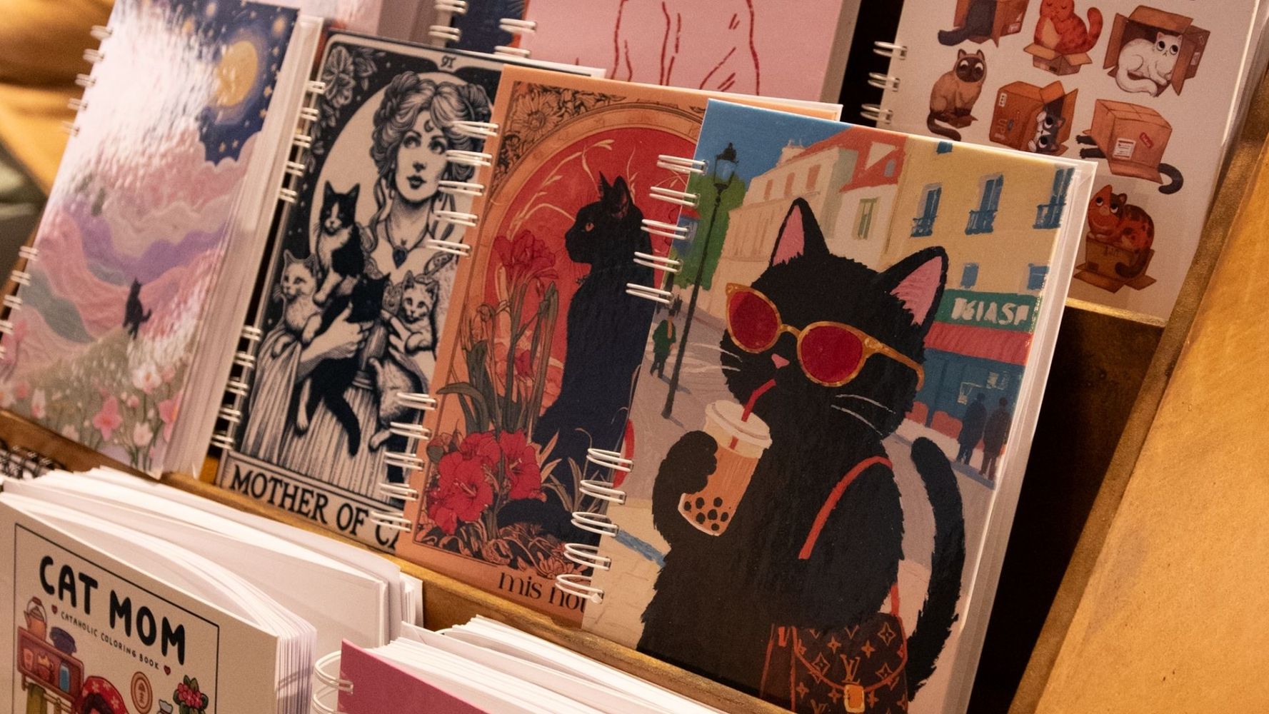 Abre en Córdoba un local dedicado exclusivamente a gatos.