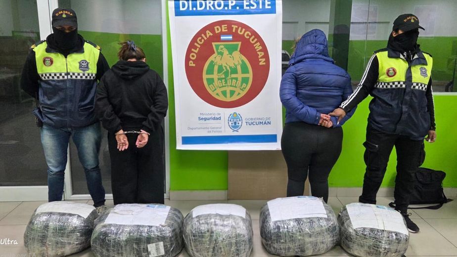 Operativo Lapacho: incautaron 48 kilos de marihuana ocultos en encomiendas