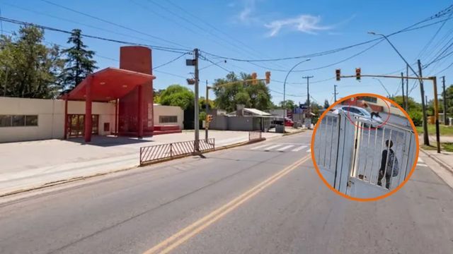 El dato que complica al conductor que chocó a una nena frente a una escuela.
