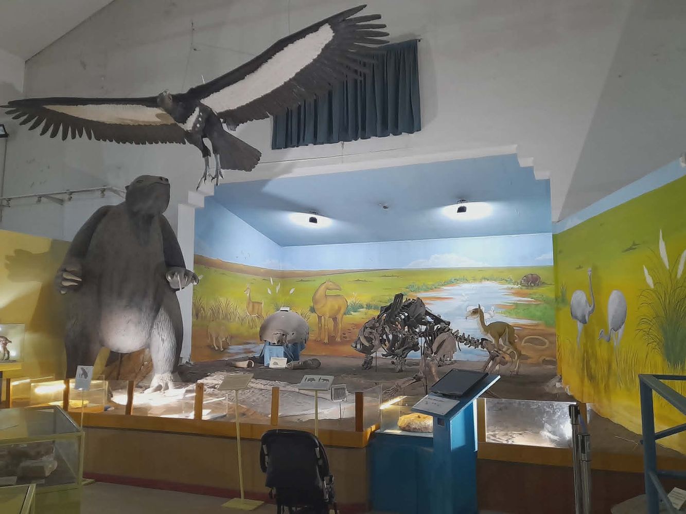 Inauguraron una réplica de un Teratornítido en el Museo Darwin