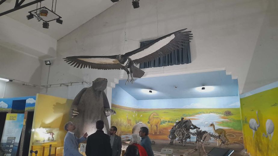 Inauguraron una réplica de un Teratornítido en el Museo Darwin