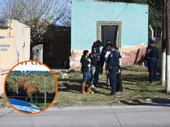 El dramático trasfondo detrás de la nena que murió atacada por un perro en Córdoba