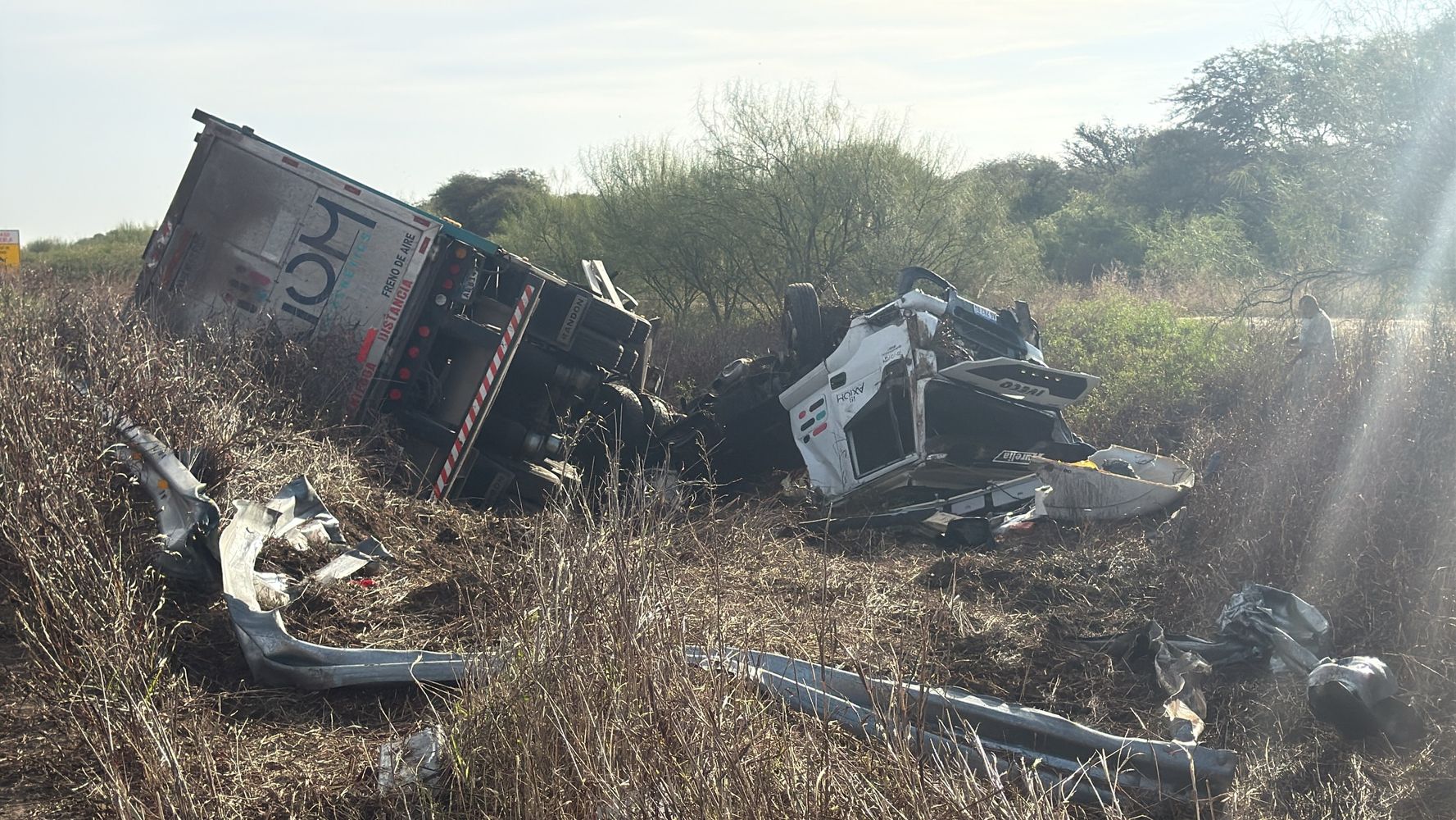 El Tío: un camión que transportaba porcinos colisionó con el guardarrail y tumbó en la Autovía 19
