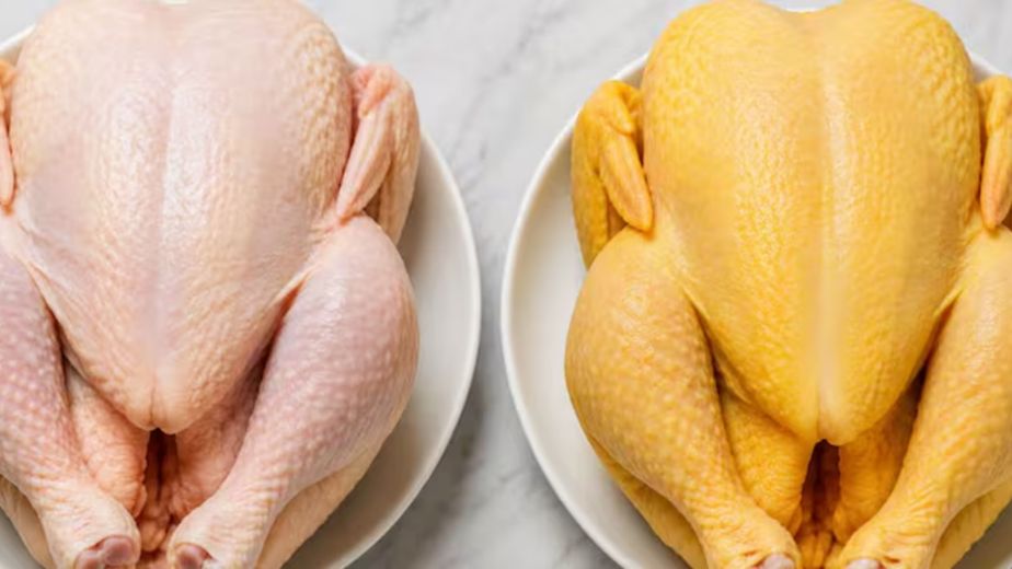 Pollo blanco o amarillo: cuál conviene comprar y qué diferencias tienen