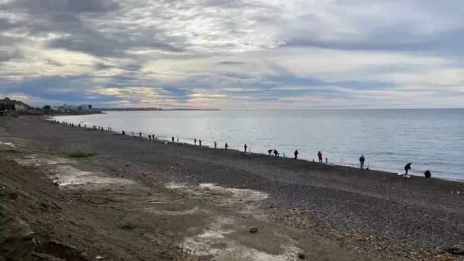 Una invasión de peces "pene" sorprendió a Chubut: qué son y por qué aparecieron