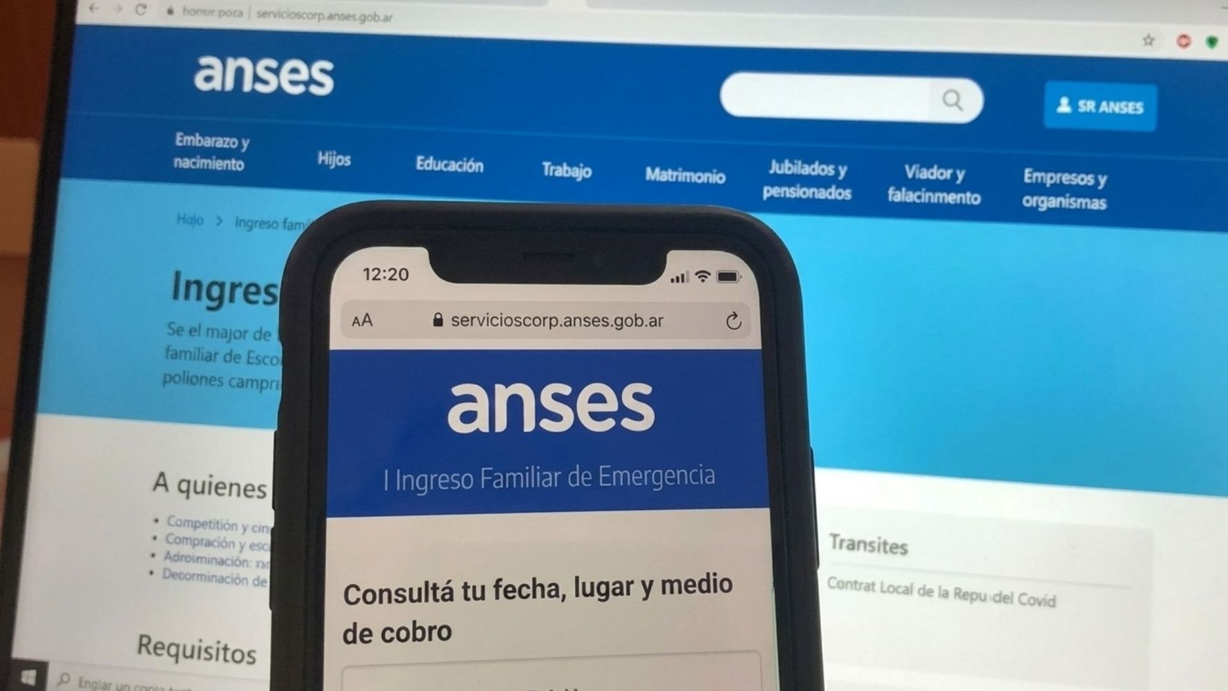 ANSES