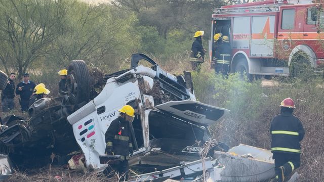 El Tío: un camión que transportaba porcinos colisionó con el guardarrail y tumbó en la Autovía 19
