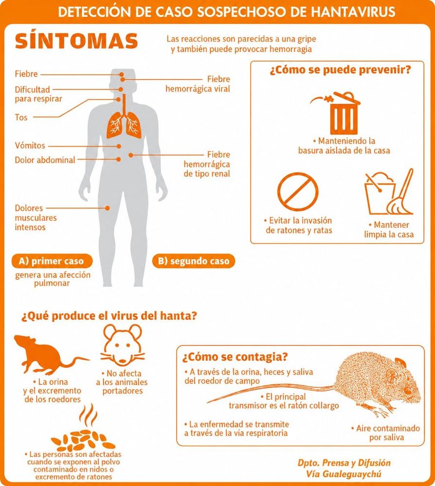 Hantavirus/Leptopirosis.