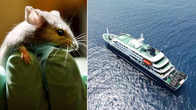 El barco había partido desde Ushuaia hacia las Islas Canarias y trasladaba pasajeros de distintos países.