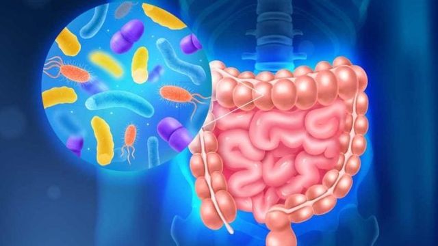 Misiones creó una red sanitaria para prevenir y tratar enfermedades digestivas.