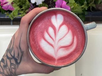 Hongos adaptógenos: qué son, beneficios y qué cafetería de Córdoba los vende en super lattes
