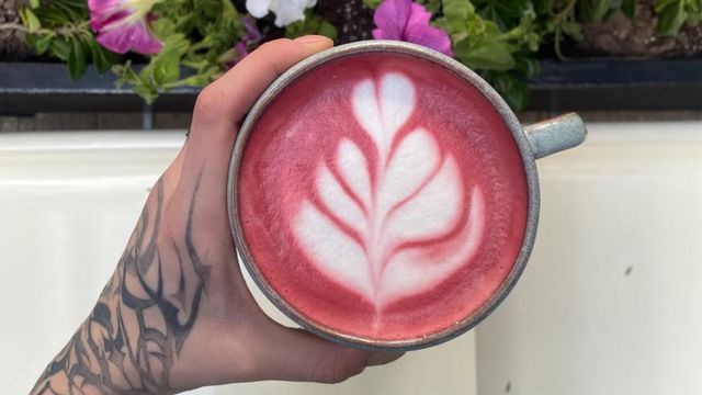 Bebidas con Hongos adaptógenos en Córdoba.