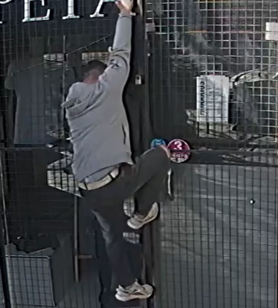El ladrón fue captado por las cámaras de seguridad.