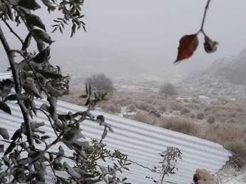 ¿Dónde nevó en Córdoba?: Las increíbles imágenes del primer manto blanco en las Sierras