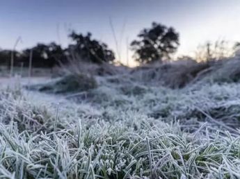 Ola polar en Córdoba: cuál fue la localidad que registró -9.6°C esta madrugada