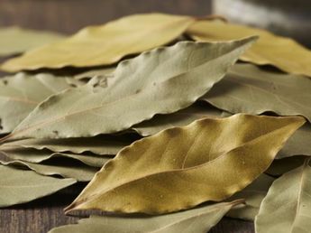 Para qué sirve poner una hoja de laurel en el aceite de oliva: el truco de cocina que pocos conocen