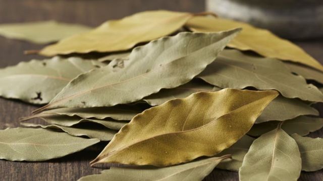 Para qué sirve poner una hoja de laurel en el aceite de oliva: el truco de cocina que pocos conocen