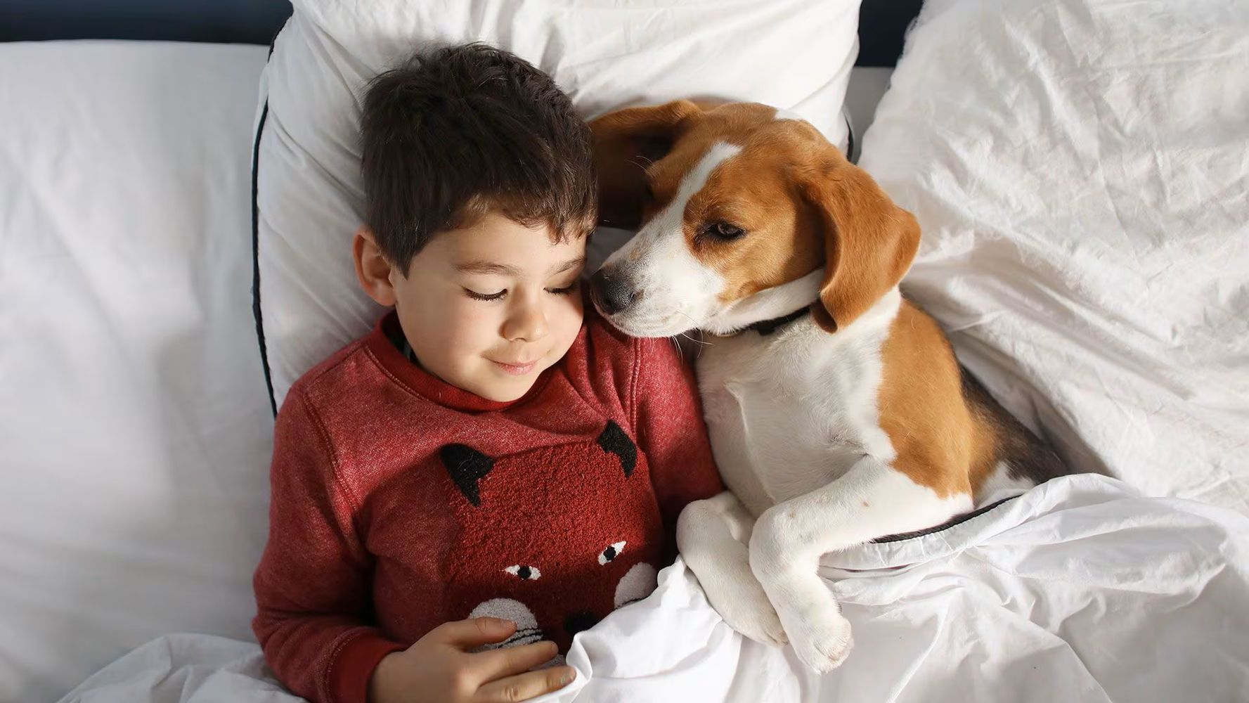 Las razas de perros más recomendadas para convivir con niños, según la IA.
