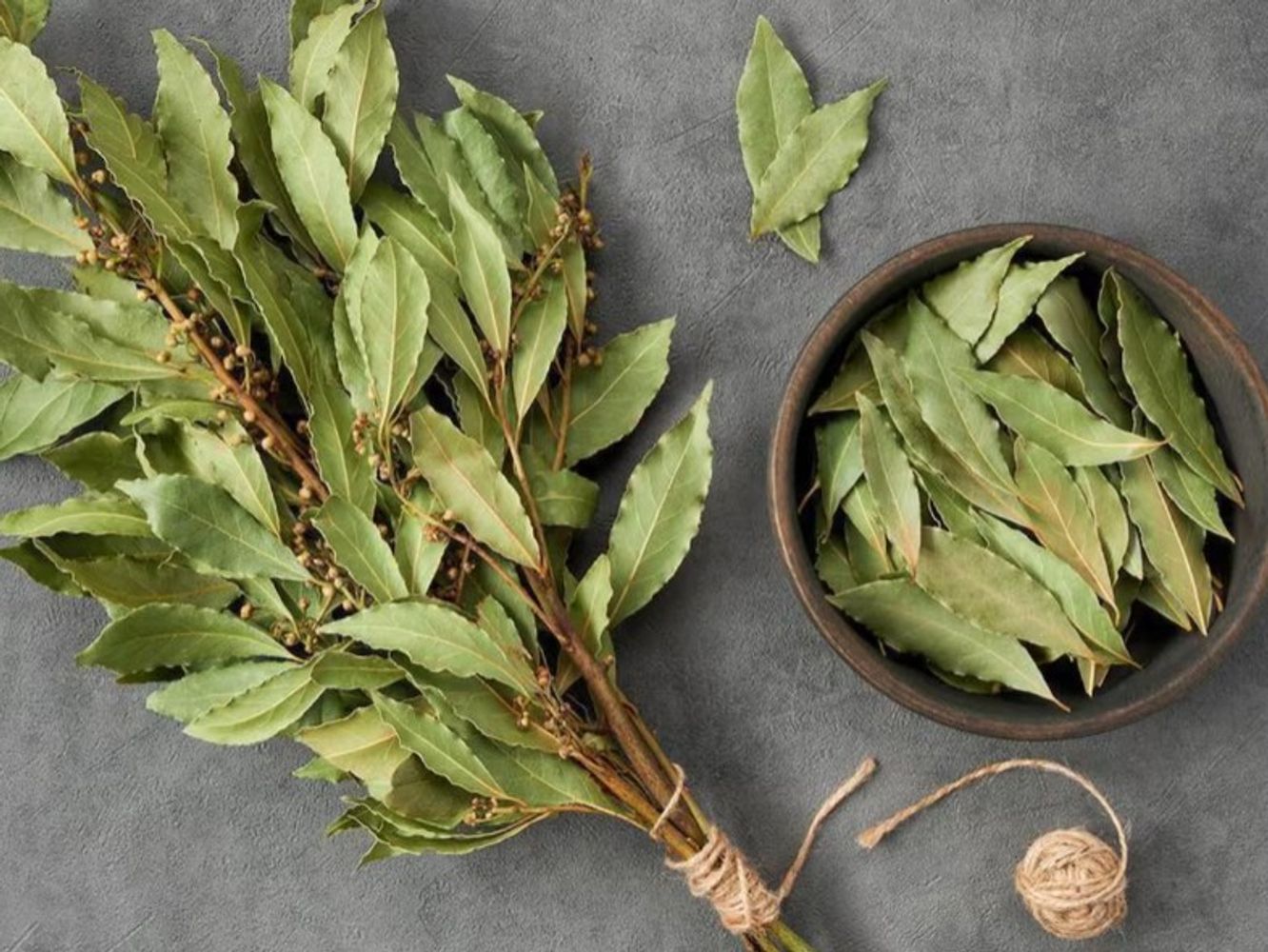 Para qué sirve poner una hoja de laurel en el aceite de oliva: el truco de cocina que pocos conocen