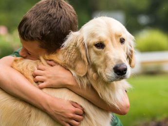 Las razas de perros más recomendadas para convivir con niños, según la IA