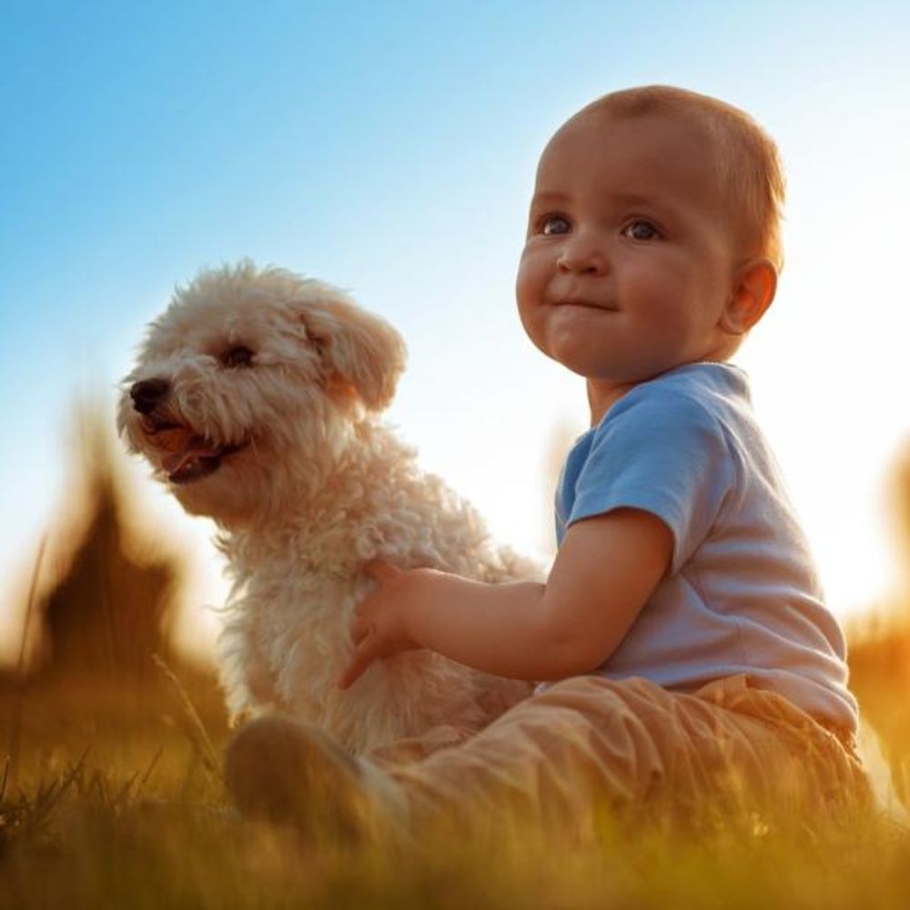 Las razas de perros más recomendadas para convivir con niños, según la IA.